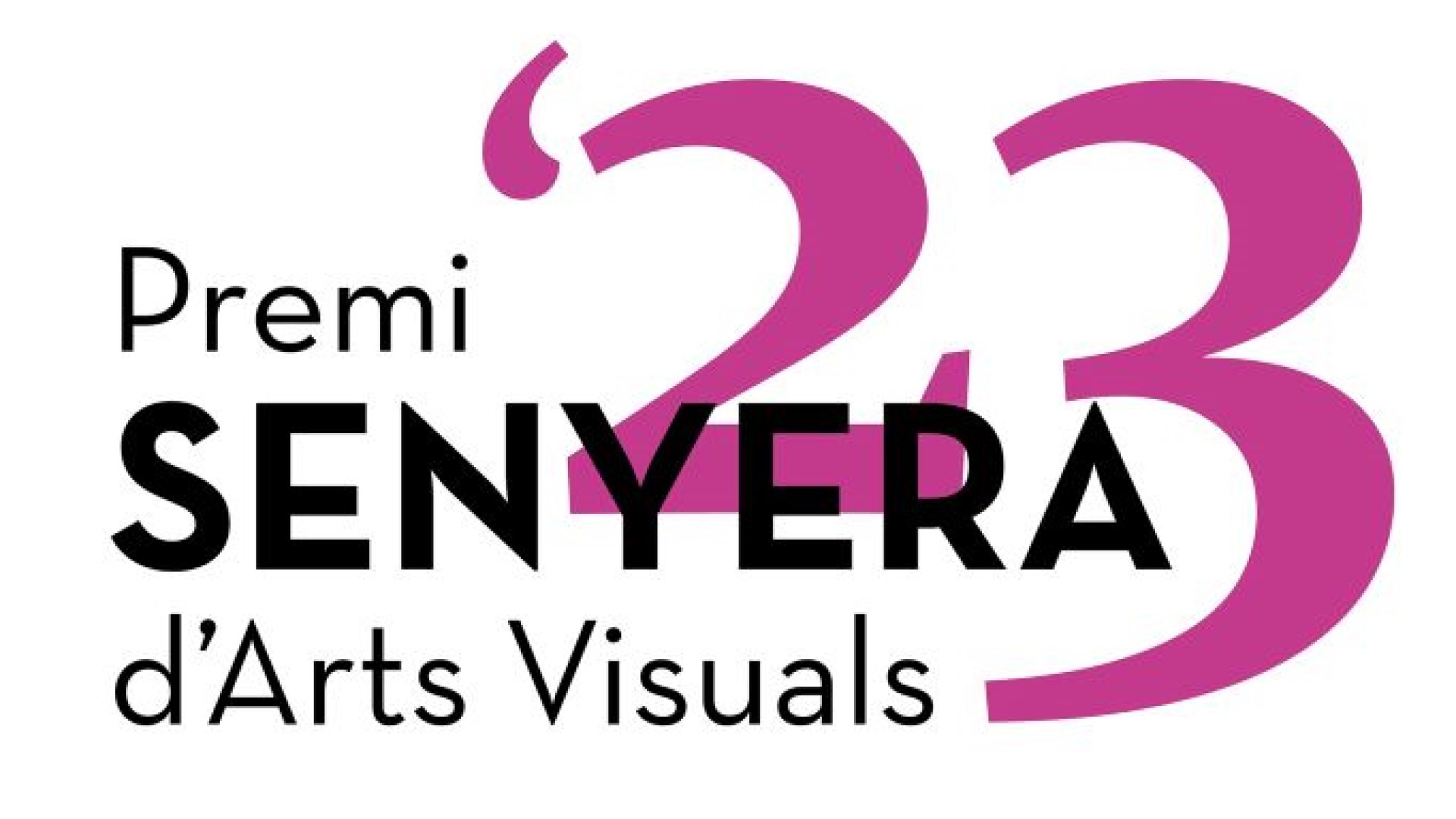 Premi Senyera d’Arts Visuals 2023