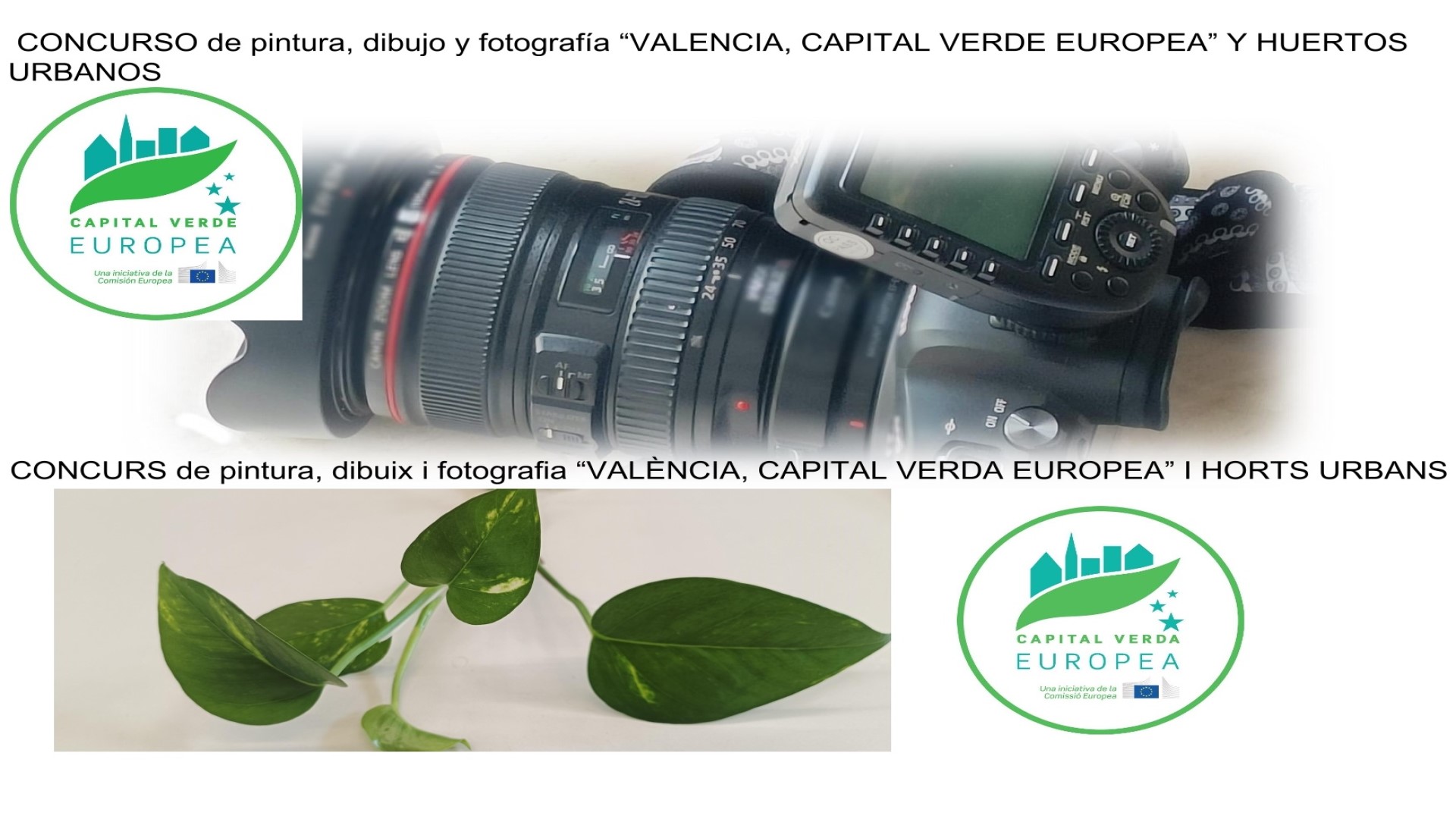 Concurso València, Capital Verde Europea y huertos urbanos