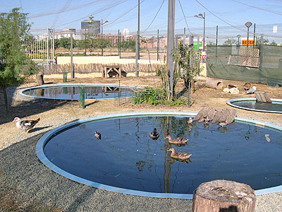 Centro municipal de acogida de animales exóticos y avifauna urbana