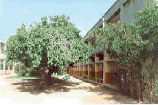 Institut d'Educació Secundària Fuente de San Luis